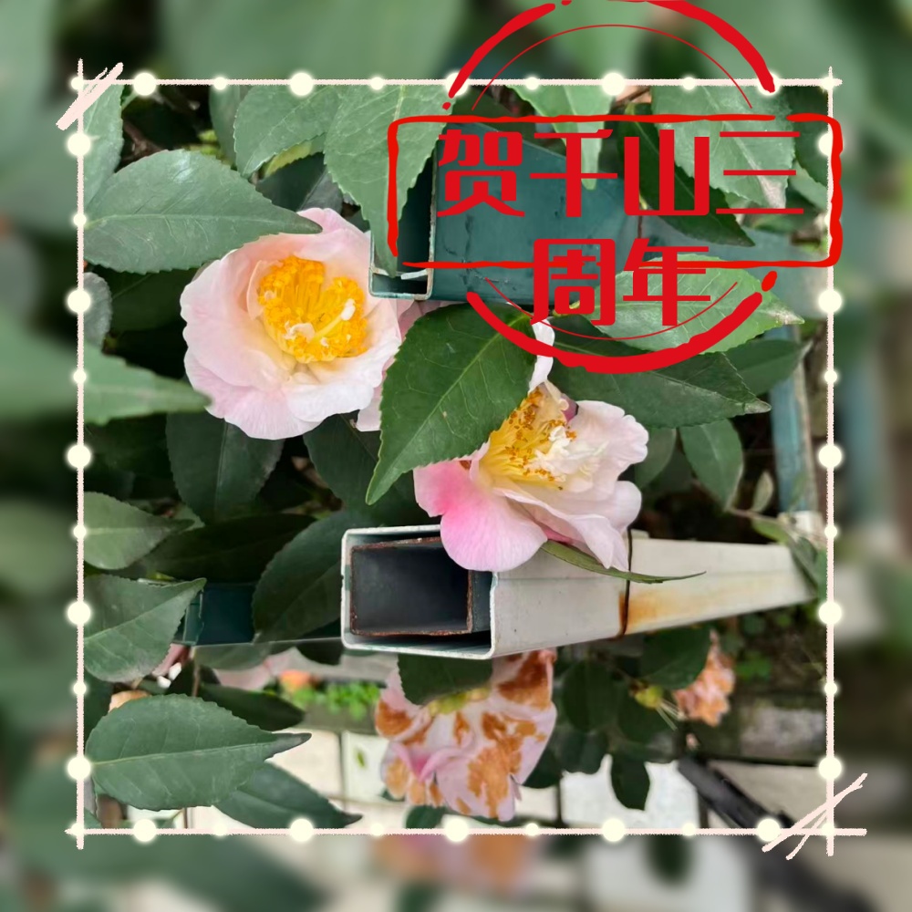 微信图片_202603242109101_副本_副本.jpg