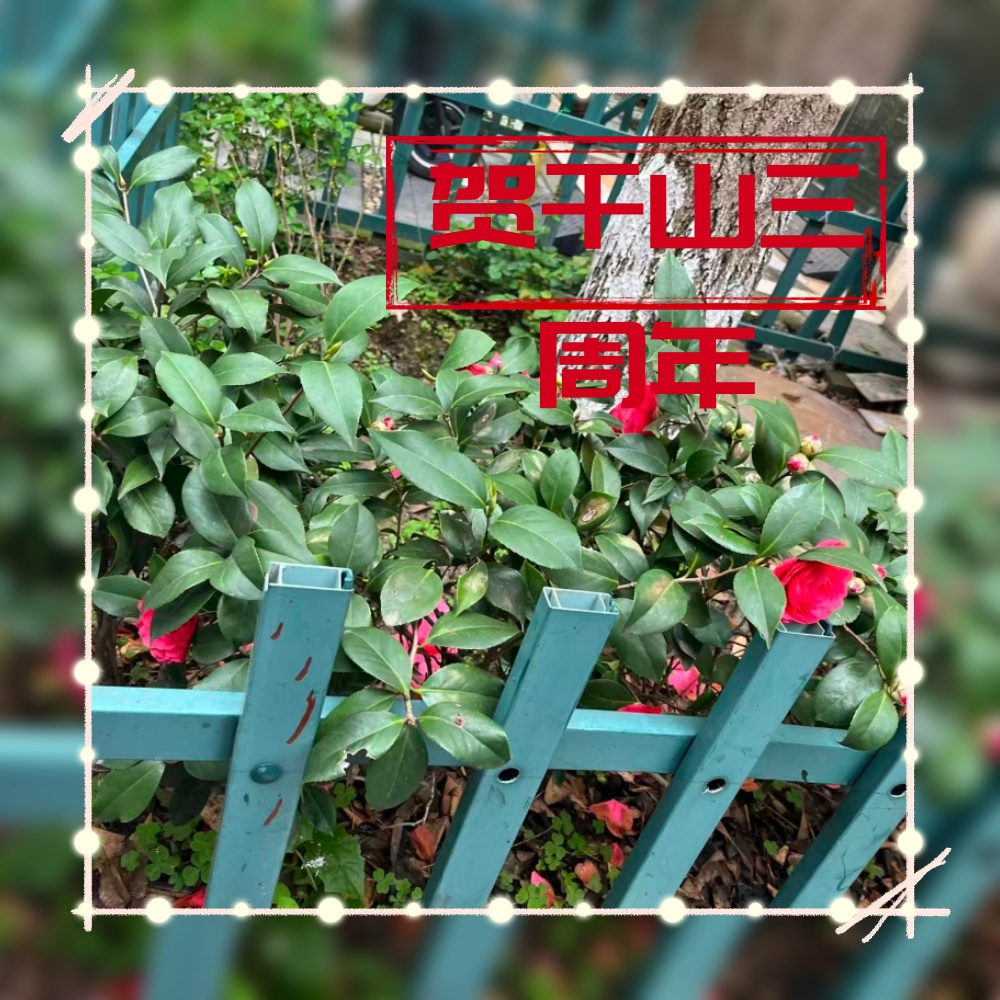微信图片_202603242109071_副本_副本.jpg