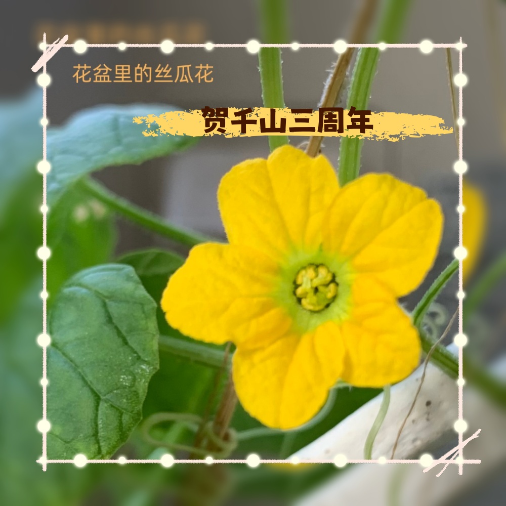 微信图片_202309052046271_副本_副本.jpg