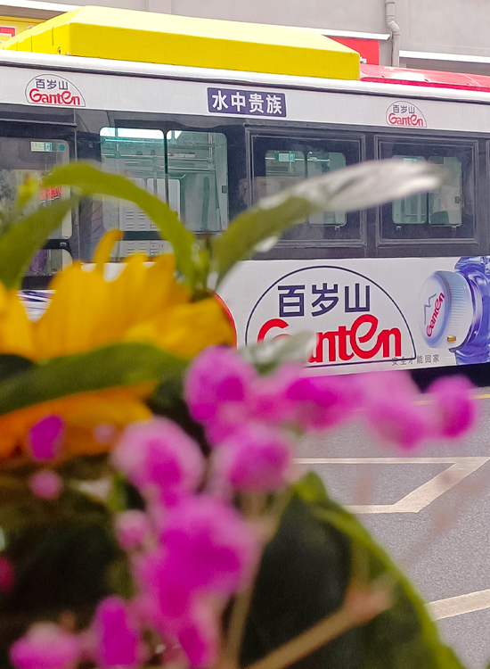 水中贵族 (1).jpg