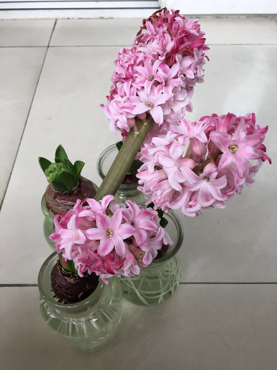 200713djmj7yrzq1a1plxx (1).jpg