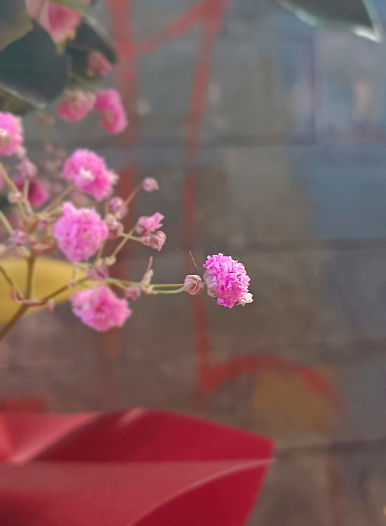 水中贵族 (4).jpg