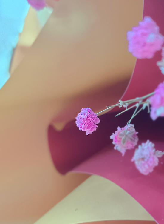 水中贵族 (5).jpg