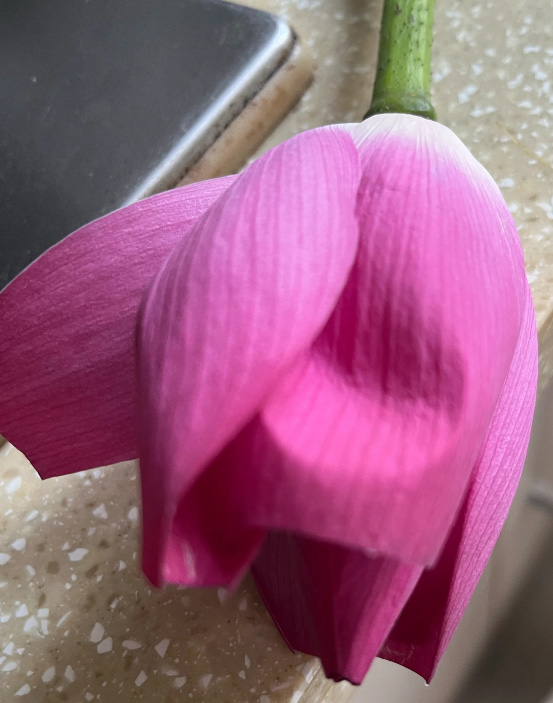 微信图片_20260425191357 - 副本.jpg