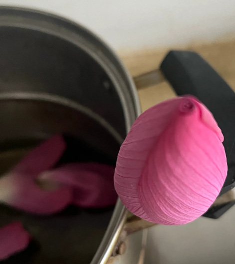 微信图片_20260425191448 - 副本.jpg