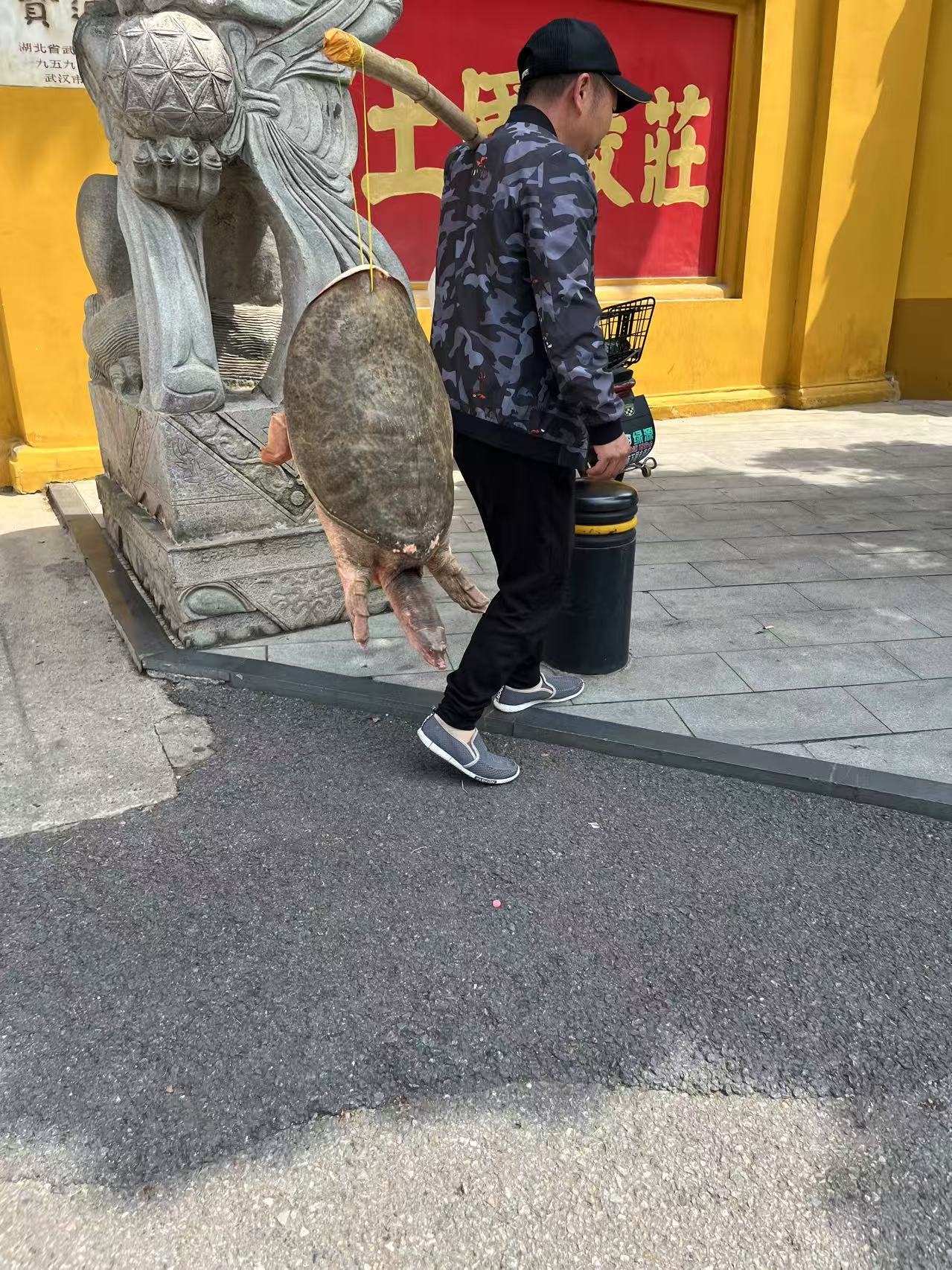 微信图片_20250425160449.jpg