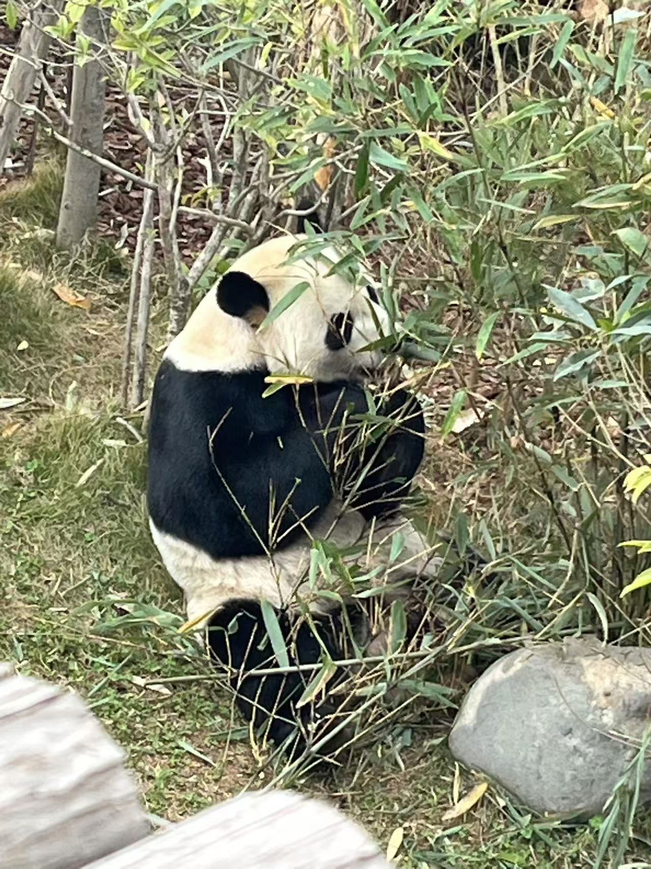 微信图片_202412251207081.jpg