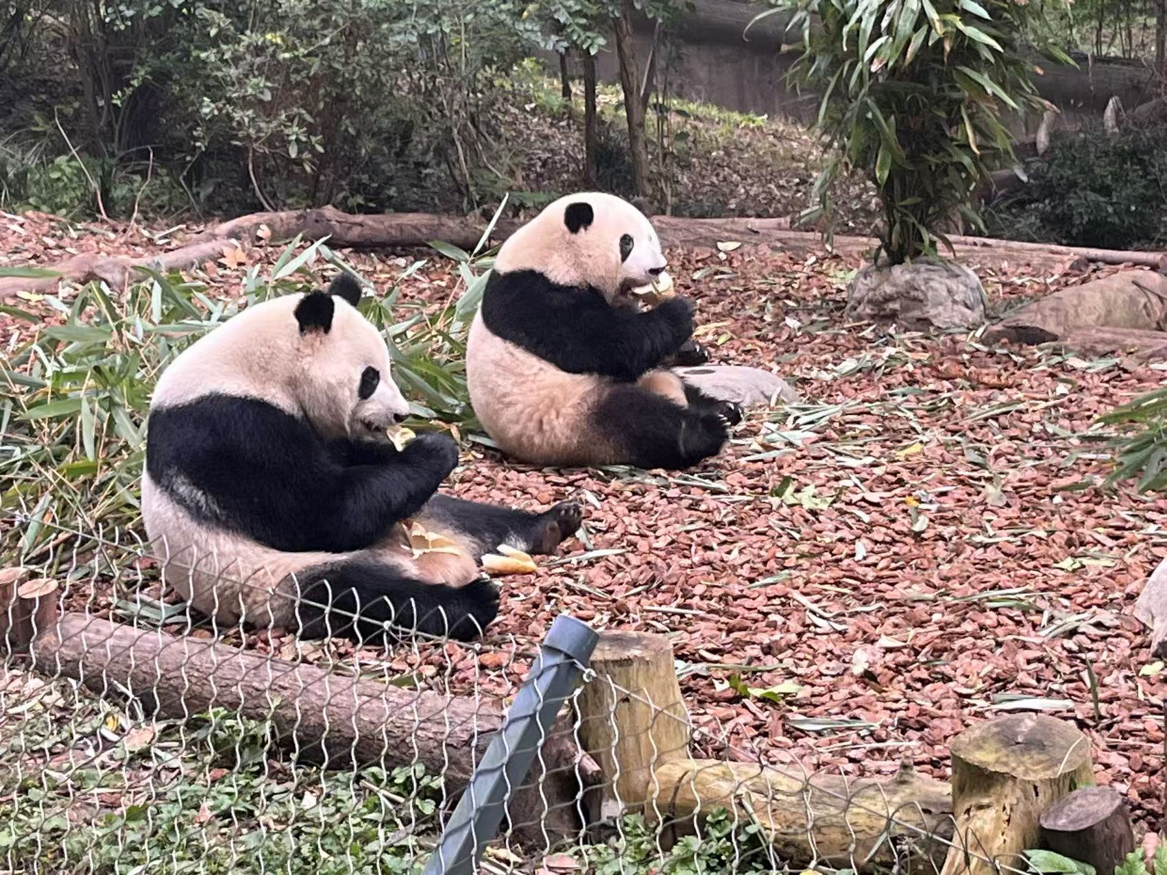 微信图片_202412251207141.jpg