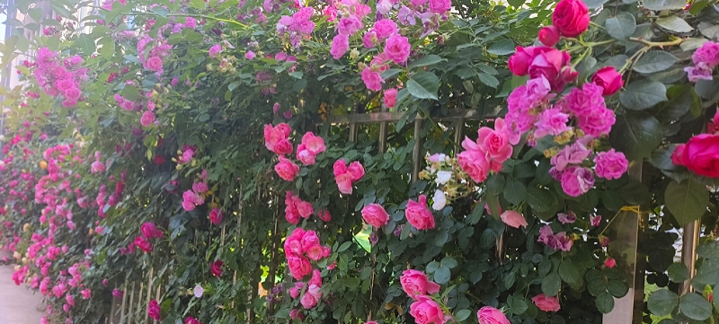 MEITU_20260430_094907537.jpg