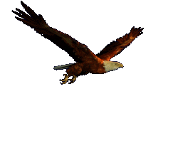 21673573207162293.gif
