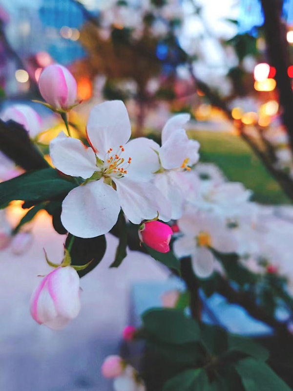 MEITU_20260501_142209870.jpg