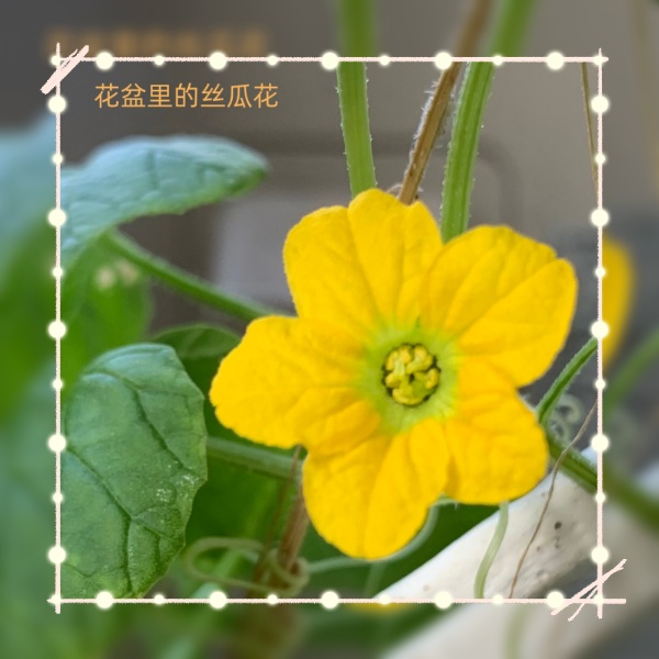 微信图片_202309052046271_副本22.jpg