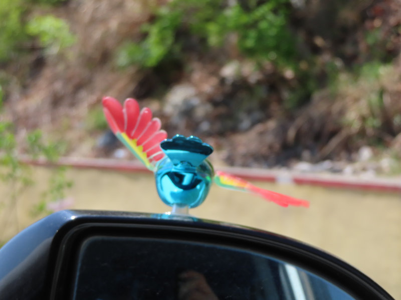 IMG_2242_o,.jpg