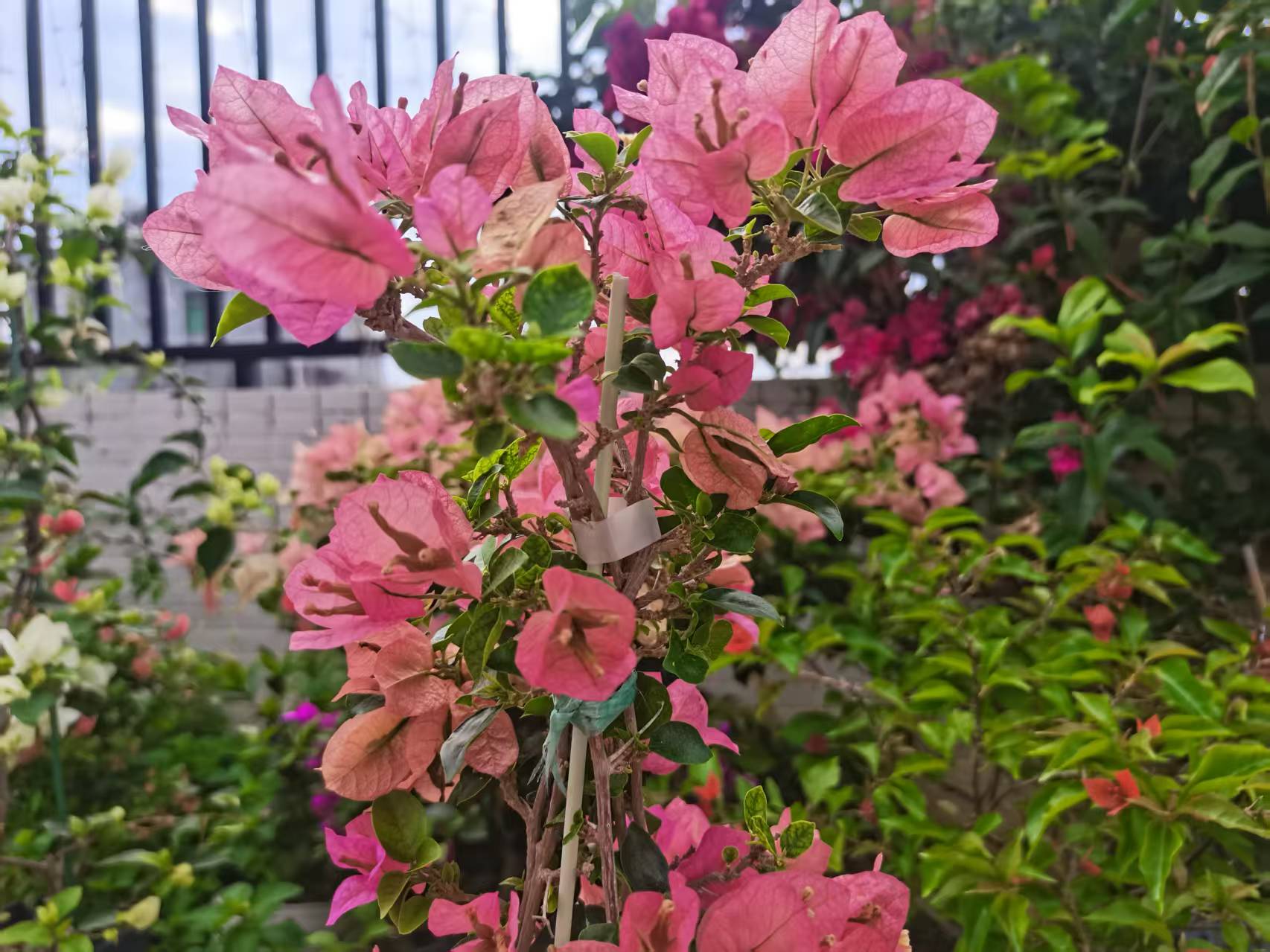 微信图片_20260505140331_128_49.jpg